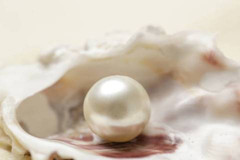 PEARLS - The Magical and Mysterious Tear Drops of God